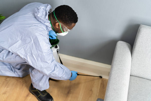 Best Pest Control for Multi-Family Homes  in Rochester, MI